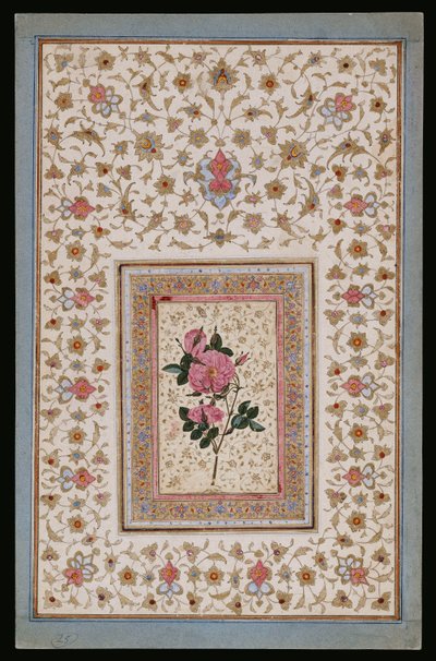 Estudio de una rosa de Persian School
