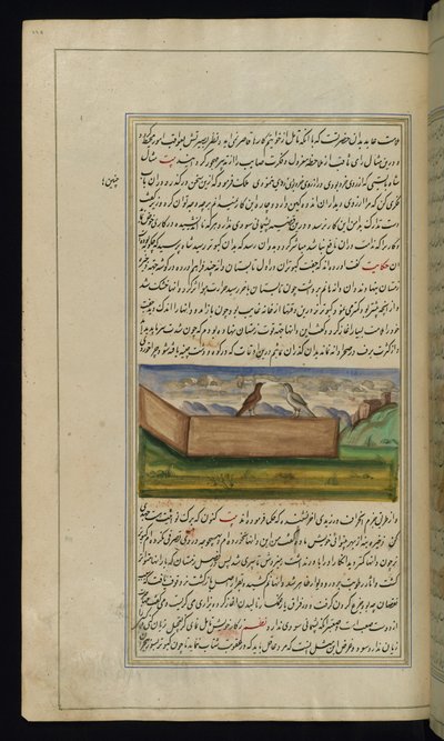 Dos palomas y un suministro de grano de Luces de Canopus de Persian School