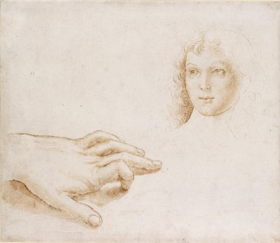 Estudios de una cabeza y una mano, finales del siglo XV-principios del siglo XVI de Perugino