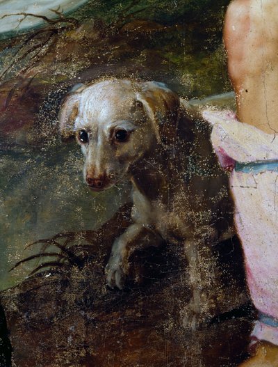 Perro (detalle) de Peter Candid