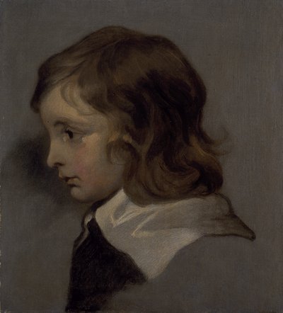 Cabeza de un niño pequeño de Peter (follower of) Lely