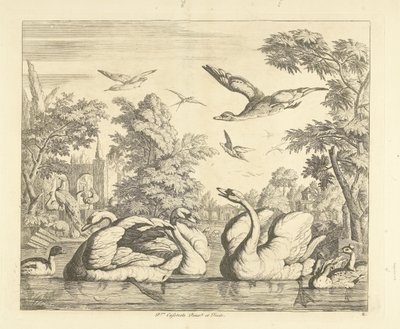 Tres cisnes y otras aves junto a un estanque Aves diferentes (título de la serie) de Peter Casteels (III)