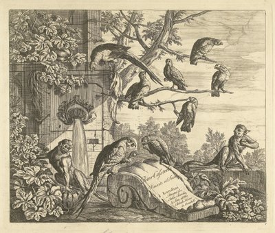 Loros y monos en una fuente de jardín Aves diferentes (título de la serie) de Peter Casteels (III)