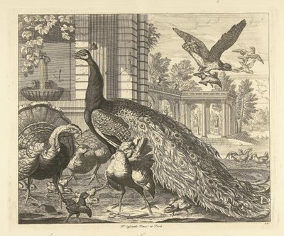 Pavo real y pavo en una columnata de jardín Aves diferentes (título de la serie) de Peter Casteels (III)
