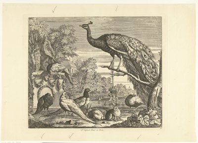 Pavo real, conejos y otras aves en una fuente de jardín Aves diferentes (título de la serie) de Peter Casteels (III)