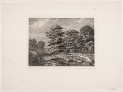 Río entre orillas boscosas de Peter Christian Schøler