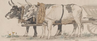 Dos Bueyes Tirando de un Carro, 1874 de Peter Christian Thamsen Skovgaard