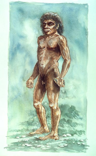 Hombre de Boxgrove, Prehistórico de Peter Dunn