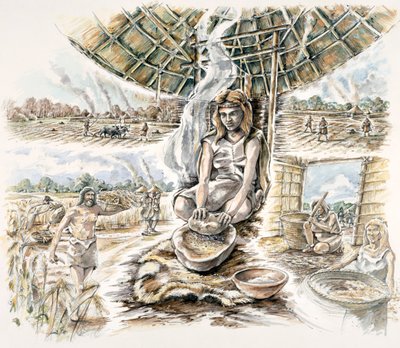 Producción de grano neolítica, c1990-2010 de Peter Dunn