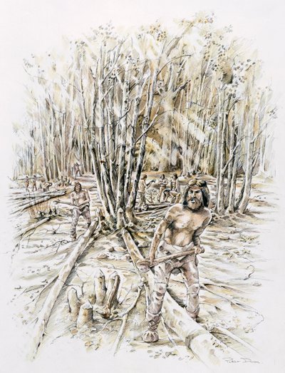 Usos del pedernal - desramado, Prehistórico, c1990-2010 de Peter Dunn