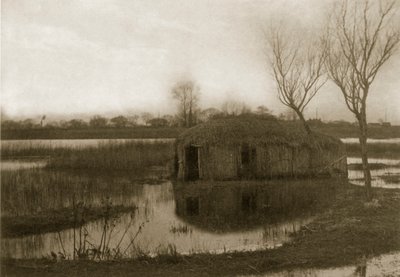 Una casa de bote de caña, vida y paisaje en los Norfolk Broads, c.1886 de Peter Emerson und Thomas Goodall