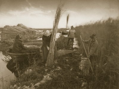 Durante la cosecha de cañas, Vida y Paisaje en los Norfolk Broads, c.1886 de Peter Emerson und Thomas Goodall