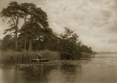 El refugio del lucio, c.1886 de Peter Emerson und Thomas Goodall