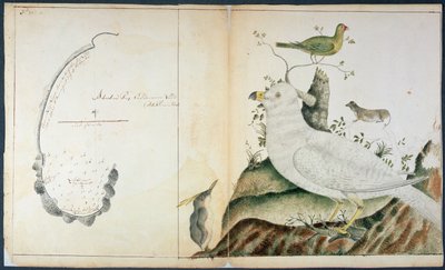 Carta de Adventure Bay, Tierra de Van Diemen, c.1773 de Peter Fannin