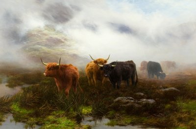 Páramo y niebla de Peter Graham