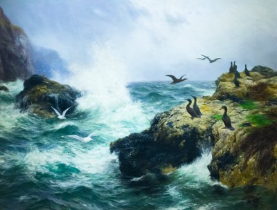 Costa rocosa (óleo sobre lienzo) de Peter Graham