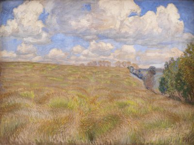 Un campo de centeno ondulante de Peter Hansen