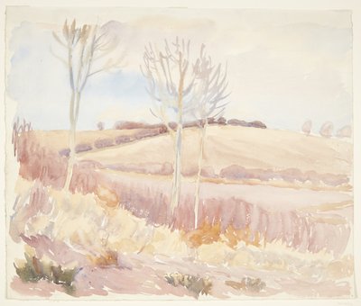Paisaje de Fionia. Primavera de Peter Hansen