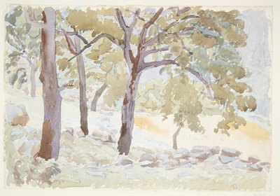 El borde de un bosque de Peter Hansen
