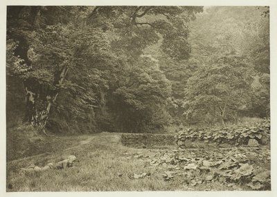 Un rincón tranquilo en Beresford Dale de Peter Henry Emerson