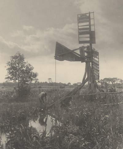Un molino de agua en ruinas de Peter Henry Emerson