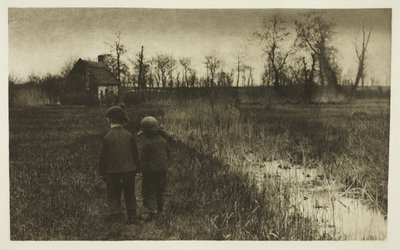 Un Sapo en el Camino: Primavera Temprana en Norfolk de Peter Henry Emerson