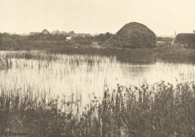 Inundaciones de otoño de Peter Henry Emerson