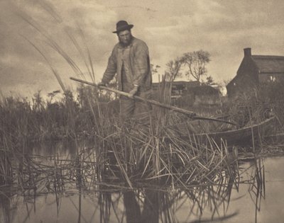 Cortar el Gladdon de Peter Henry Emerson