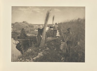 Durante la cosecha del carrizo de Peter Henry Emerson