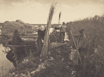  de Peter Henry Emerson