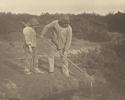 AnguilaRecogida en aguas de Suffolk de Peter Henry Emerson