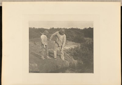 AnguilaRecogida en aguas de Suffolk de Peter Henry Emerson