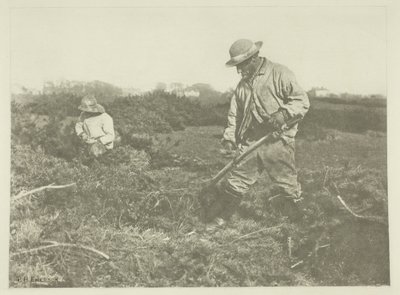 Corte de aulagas en un común de Suffolk de Peter Henry Emerson