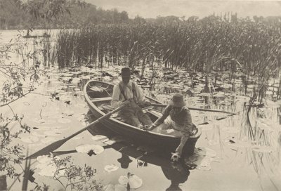 Recogida de nenúfares de Peter Henry Emerson
