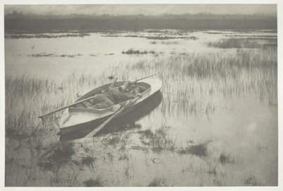 Artillero trabajando hasta Fowl de Peter Henry Emerson