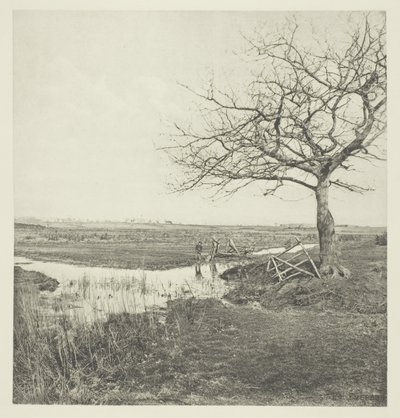 Marzo sin hojas (Suffolk) de Peter Henry Emerson
