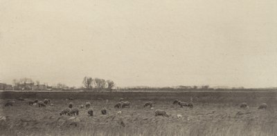 Pantanos junto al Mar del Norte de Peter Henry Emerson