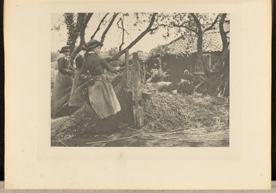 MimbrePeeling. [Norfolk]]. de Peter Henry Emerson