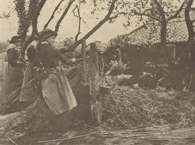 MimbrePeeling. [Norfolk]]. de Peter Henry Emerson