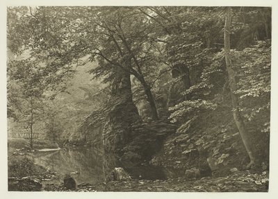 "Pike Pool" (desde abajo) de Peter Henry Emerson