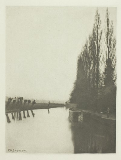 Álamos y Pollards en el Lea, cerca de Broxbourne de Peter Henry Emerson