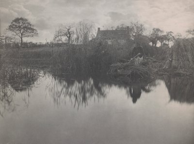Cuantificación del Gladdon de Peter Henry Emerson
