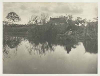 Cuantificación del Gladdon de Peter Henry Emerson