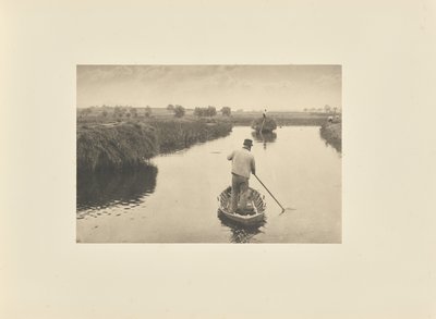 Cuantificación del heno de los pantanos de Peter Henry Emerson