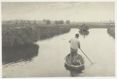 Cuantificación del heno de los pantanos de Peter Henry Emerson