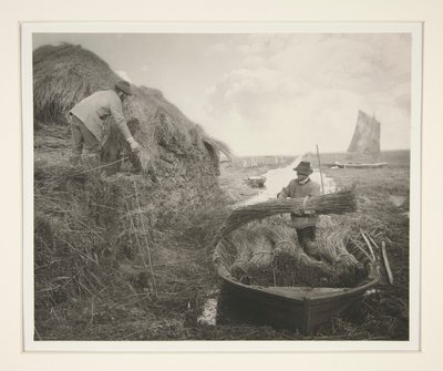 rockeando en el arrecife de Peter Henry Emerson