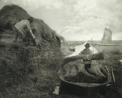 Cosechando el junco, c.1885 de Peter Henry Emerson