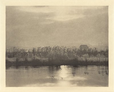 Cristales de Escarcha de Peter Henry Emerson