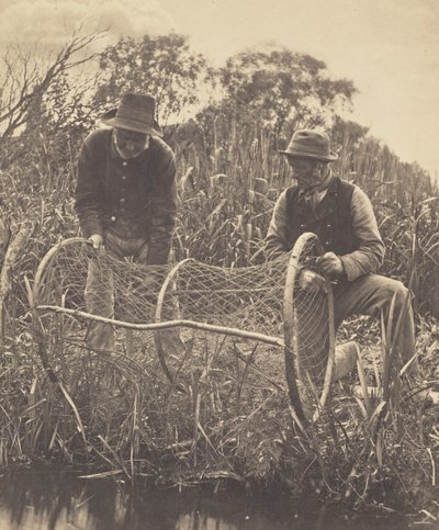 Instalación de la red de arco de Peter Henry Emerson