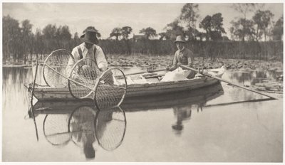 Colocando la red de arco de Peter Henry Emerson